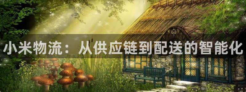28圈技巧：小米物流：从供应链到配送