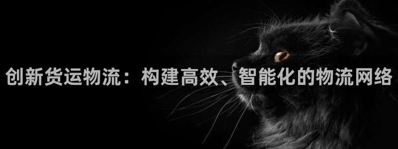 28圈注册网站谁有：创新货运物流：构