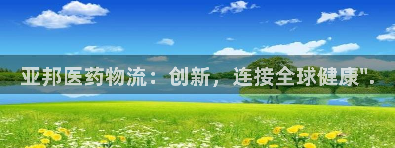 28圈辅助：亚邦医药物流：创新，连接