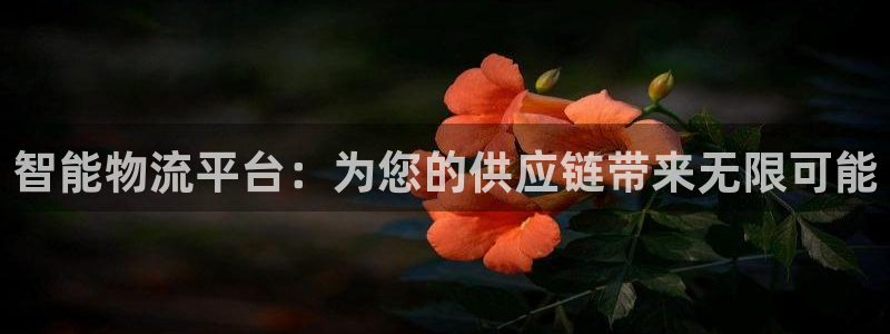 28圈分分28预测