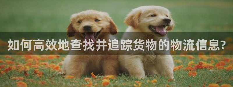 28圈防失联网址：如何高效地查找并追