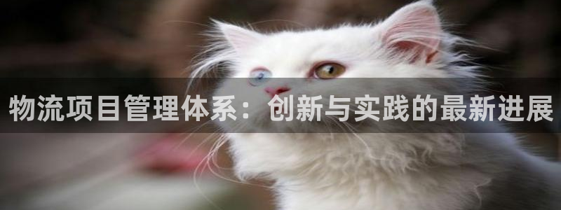 28圈提现未达5期是什么意思：物流项