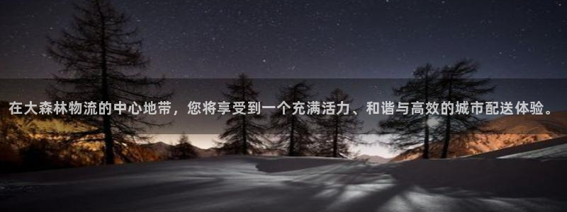 28圈预测：在大森林物流的中心地带，