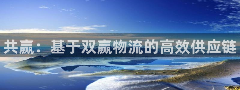 28圈加拿大模拟器：共赢：基于双赢物