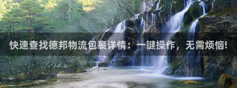 28圈pg如何退钱：快速查找德邦物流