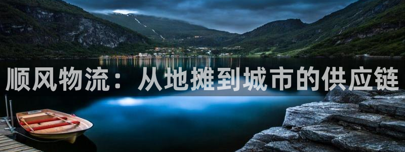 28圈注册登录链接：顺风物流：从地摊