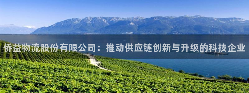 28圈开奖预测：侨益物流股份有限公司