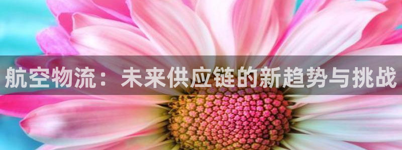 28圈如何退款：航空物流：未来供应链