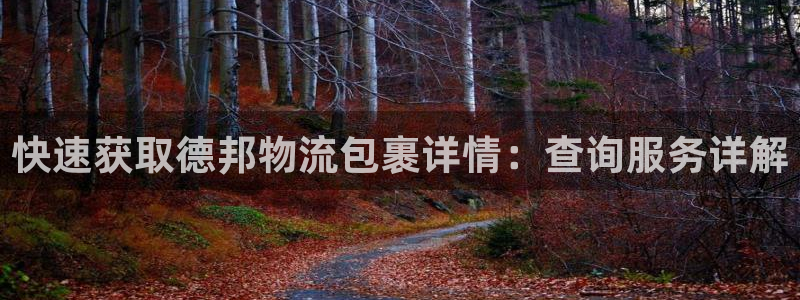 28圈官网版2024：快速获取德邦物