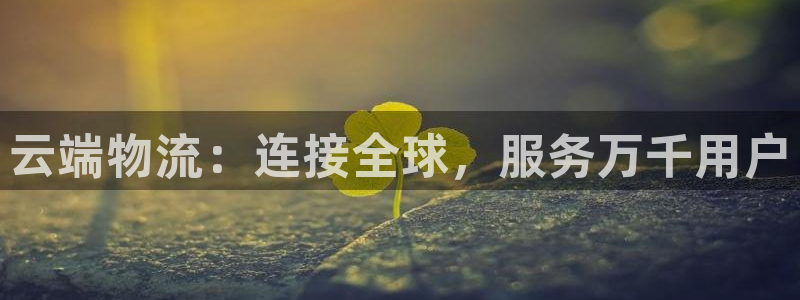 28圈充值不到账：云端物流：连接全球