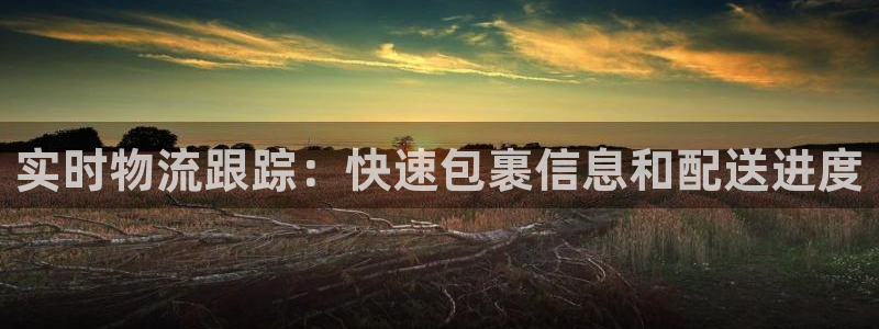 28圈黑吗：实时物流跟踪：快速包裹信