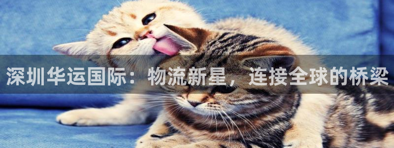28圈加拿大预测：深圳华运国际：物流