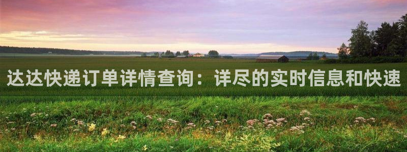 28圈充值不到账