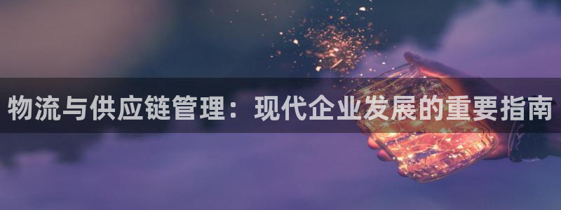 28圈南宫娱乐官网：物流与供应链管理