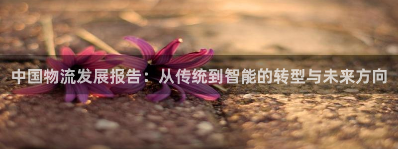 28圈链官网：中国物流发展报告：从传